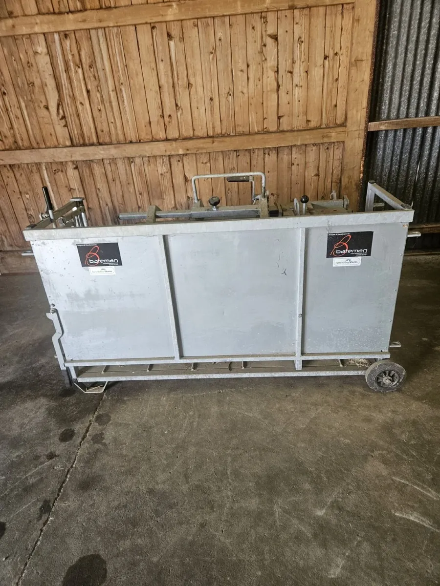 Bateman Standard Sheep Vet Rollover Crate 800-30 - Image 3