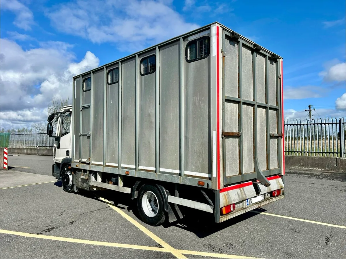 Iveco horse truck - Image 3