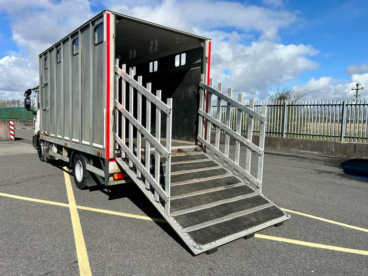 Iveco horse truck - Image 4