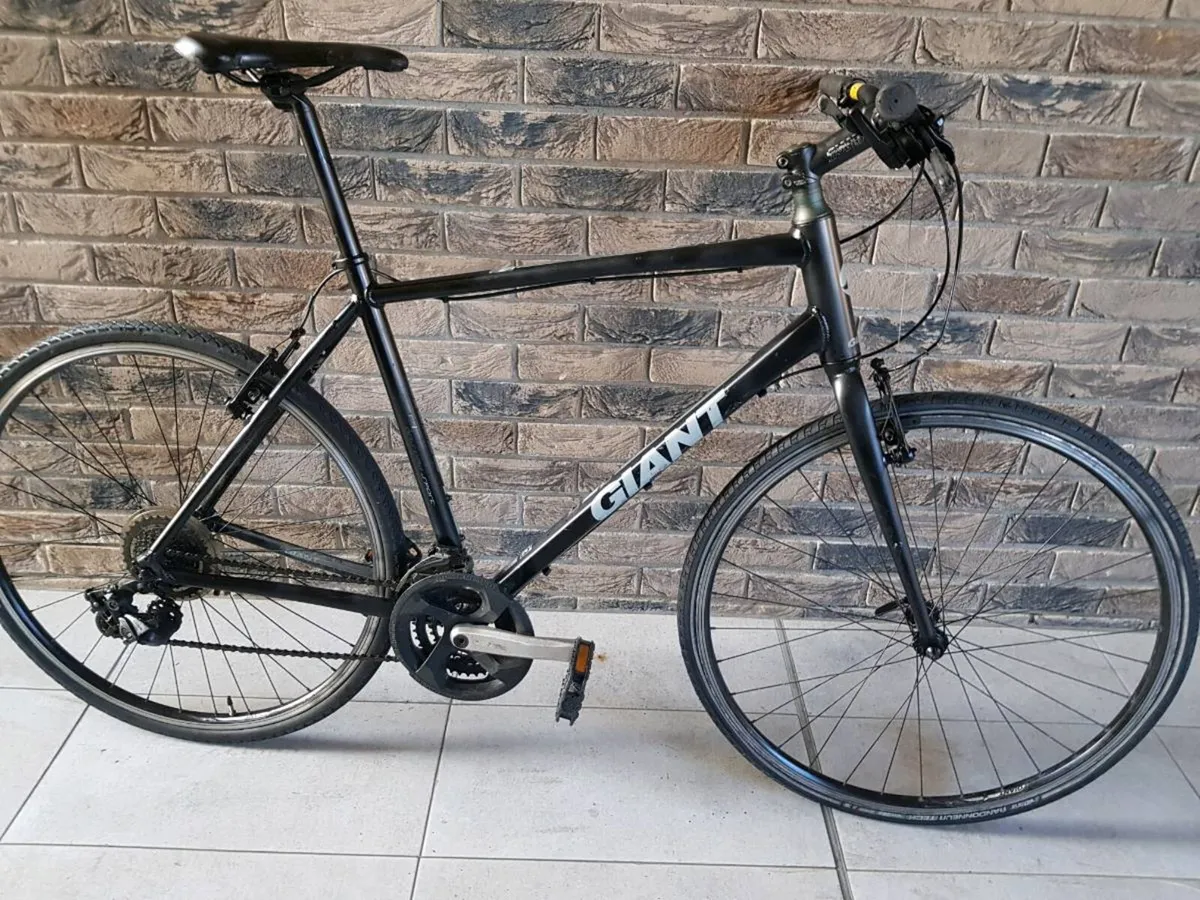 Giant hybrid - Image 1