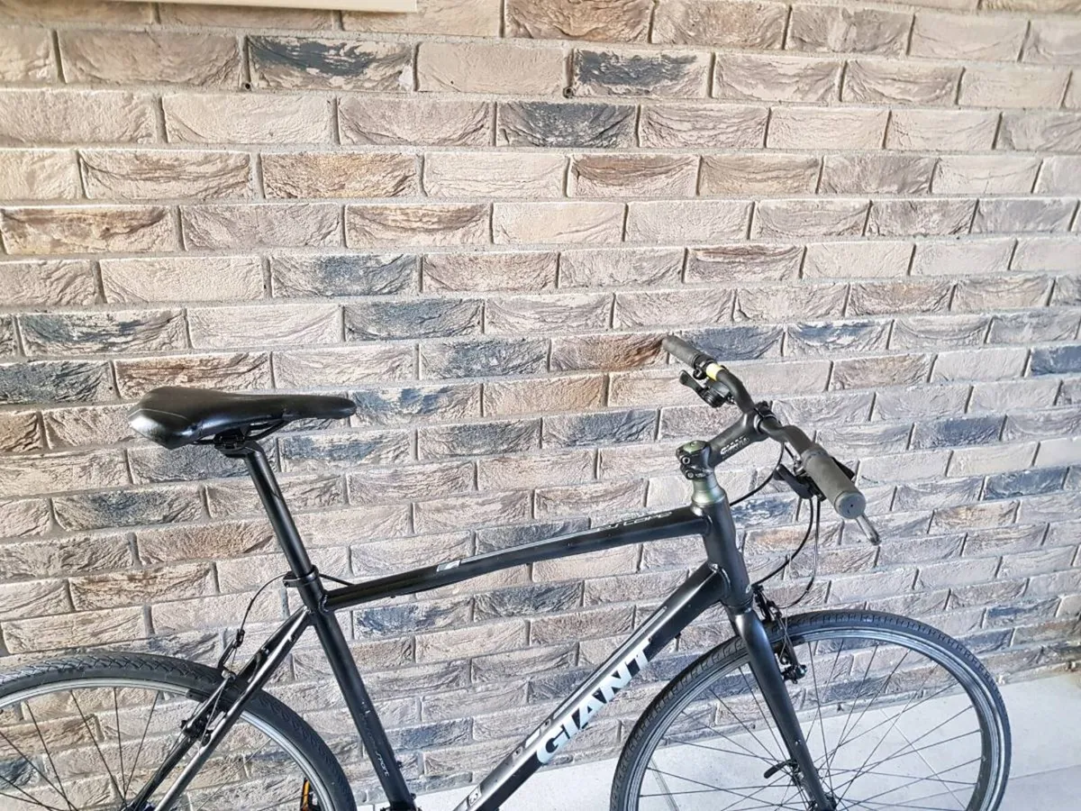 Giant hybrid - Image 4