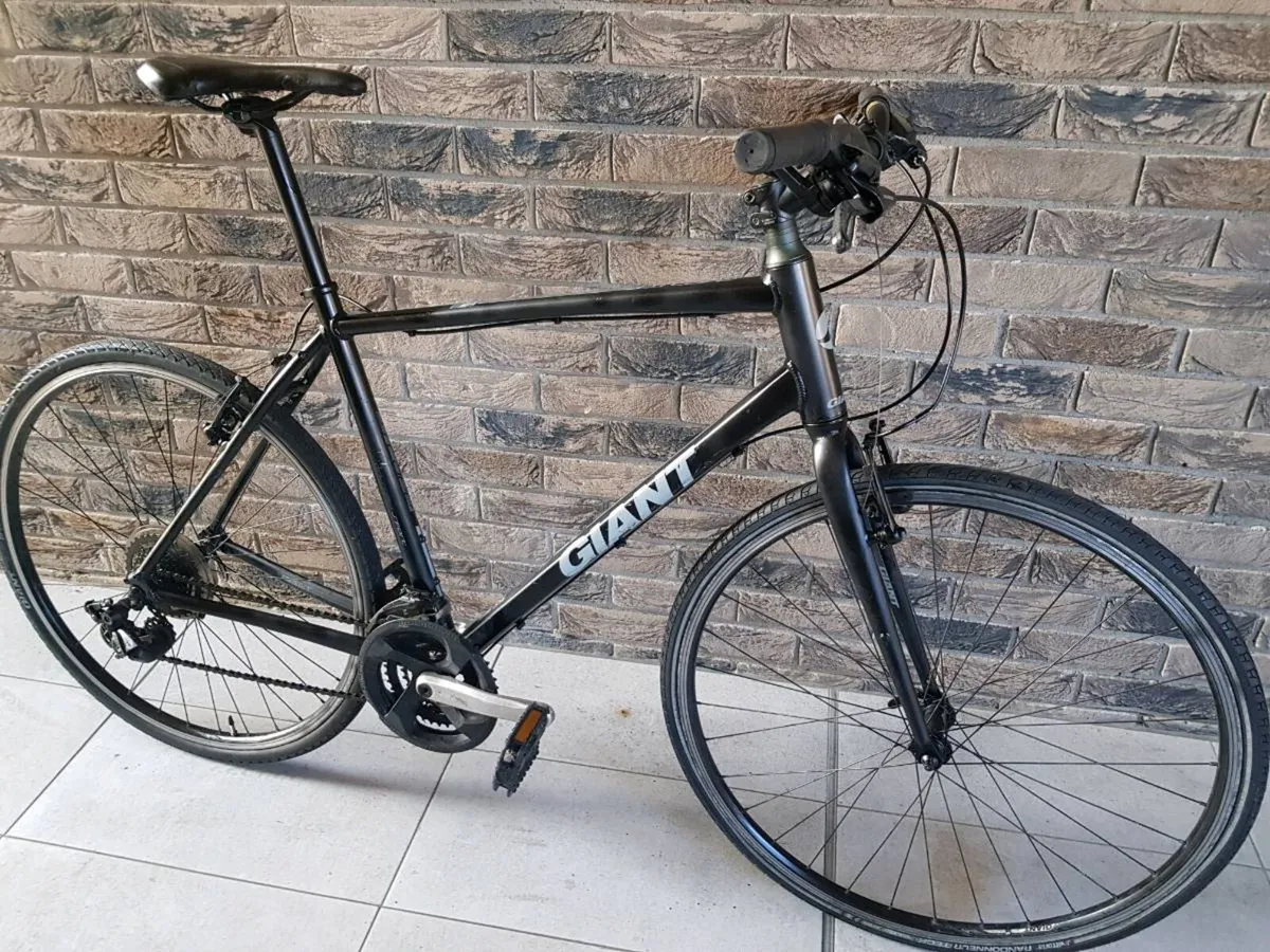 Giant hybrid - Image 3