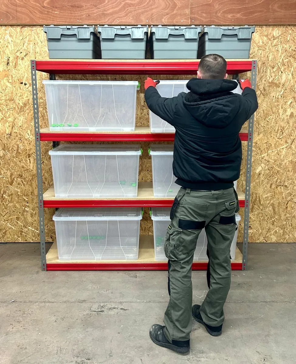 5x bays of boltless flatpack longspan - Image 3