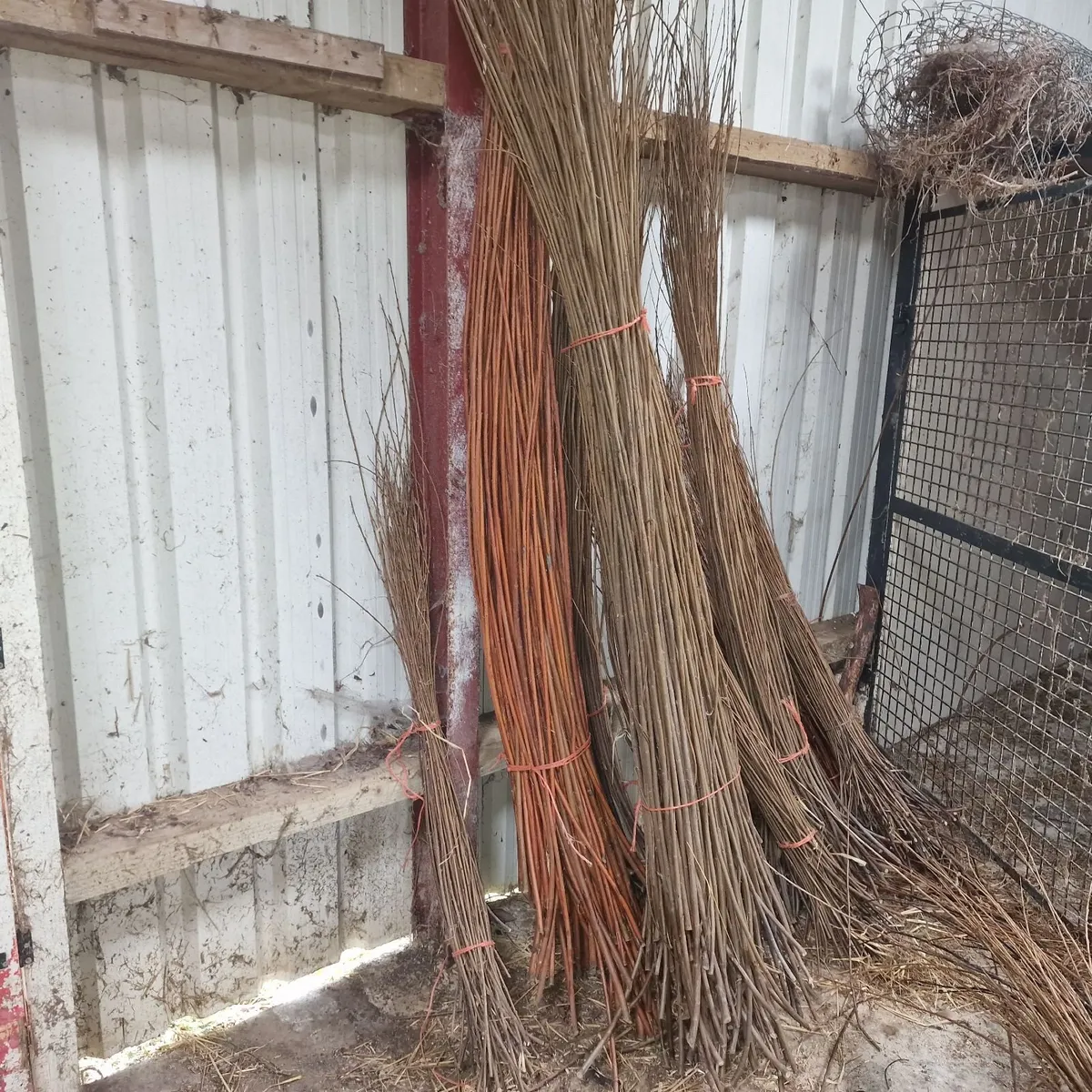 Dried willow for basket making - Image 1