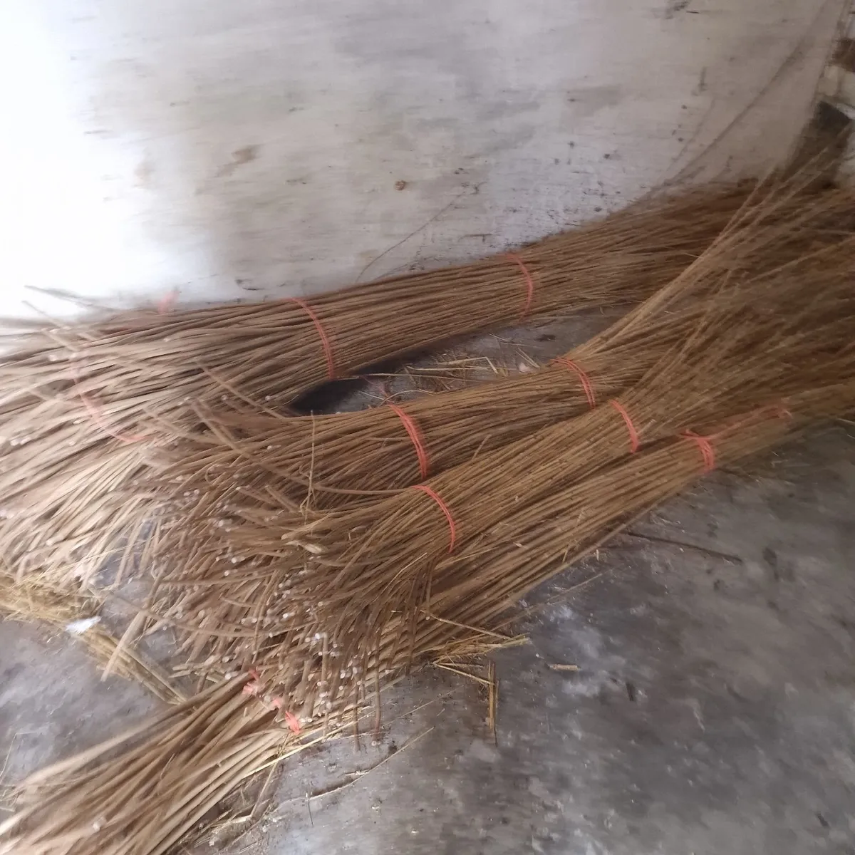 Dried willow for basket making - Image 4