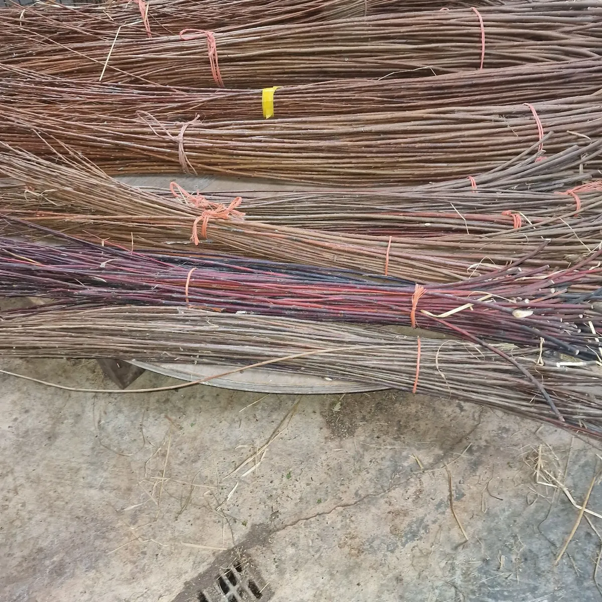 Dried willow for basket making - Image 3