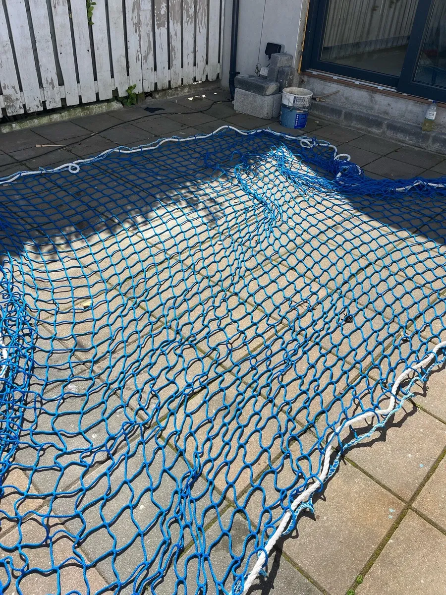 Safety Nets - Image 1