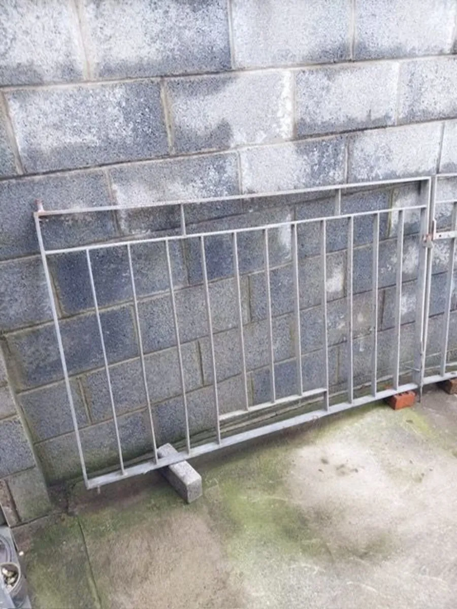 Pair of 10ft x 3.5ft Galvinised Gates - Image 1