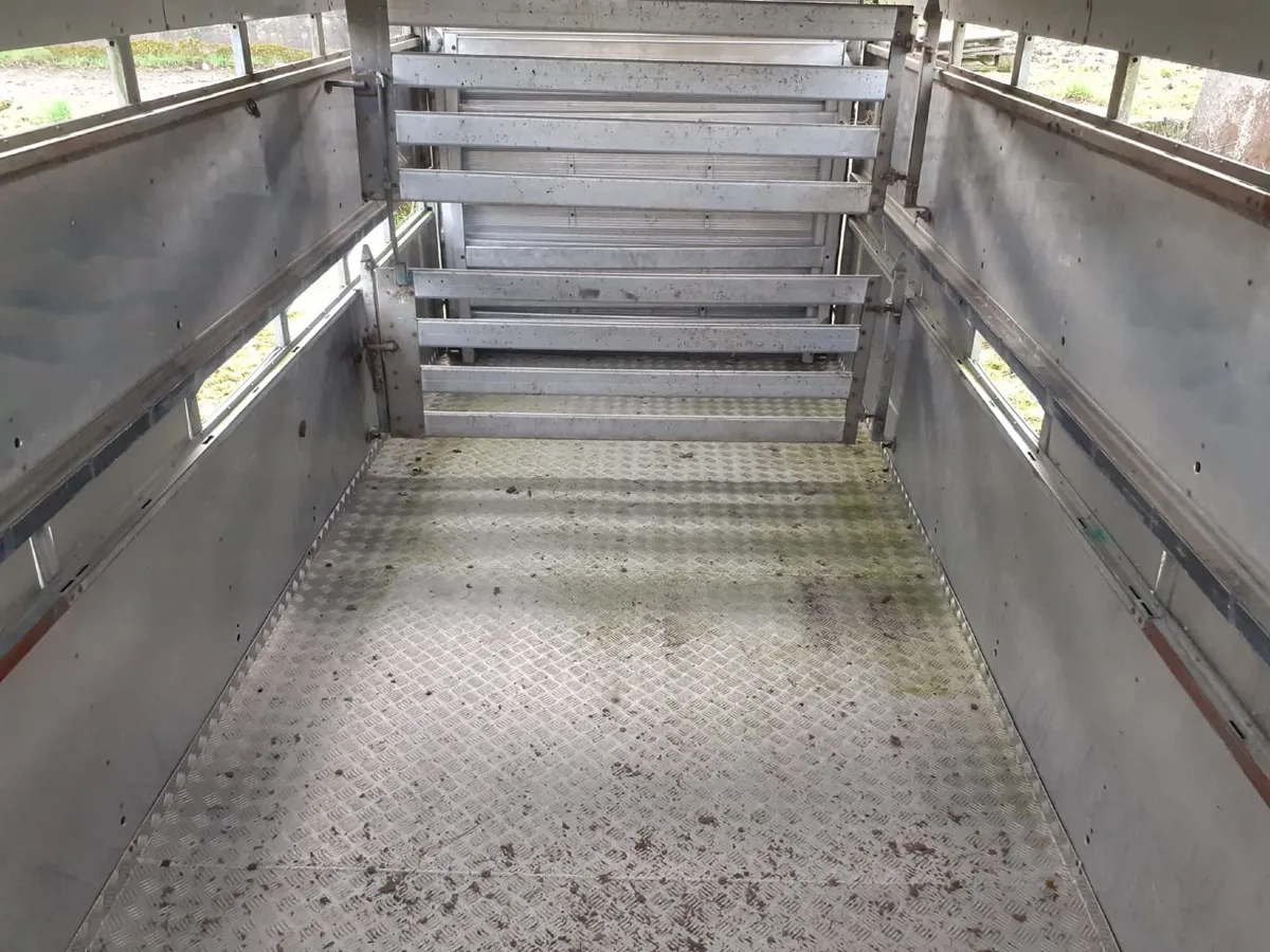 Sheep deck - Image 1