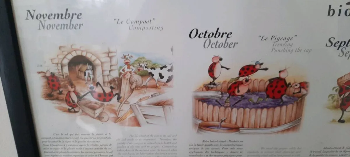 Maison M. CHAPOUTIER Framed Poster - Image 2