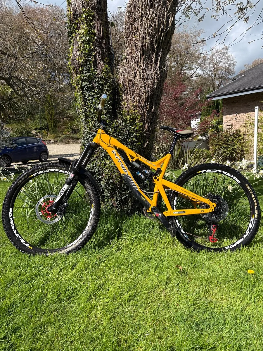 Intense tracer 2 - Image 1