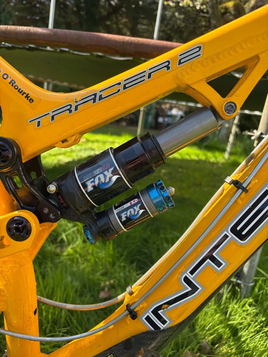 Intense tracer 2 - Image 4