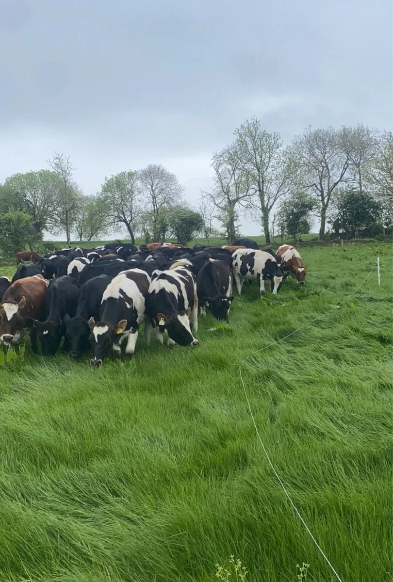 Contract Rearer - Image 1