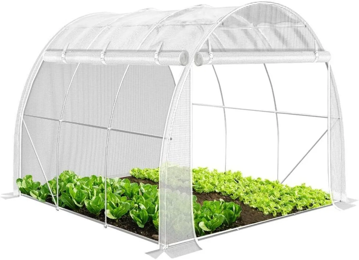 Garden Greenhouse Walk-In 3x2x2m 6m² Grow House - Image 4