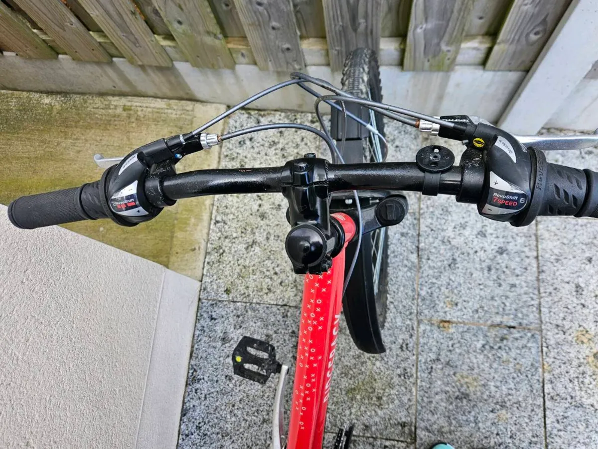 Ridgeback Destiny 24 inch bike - Image 3