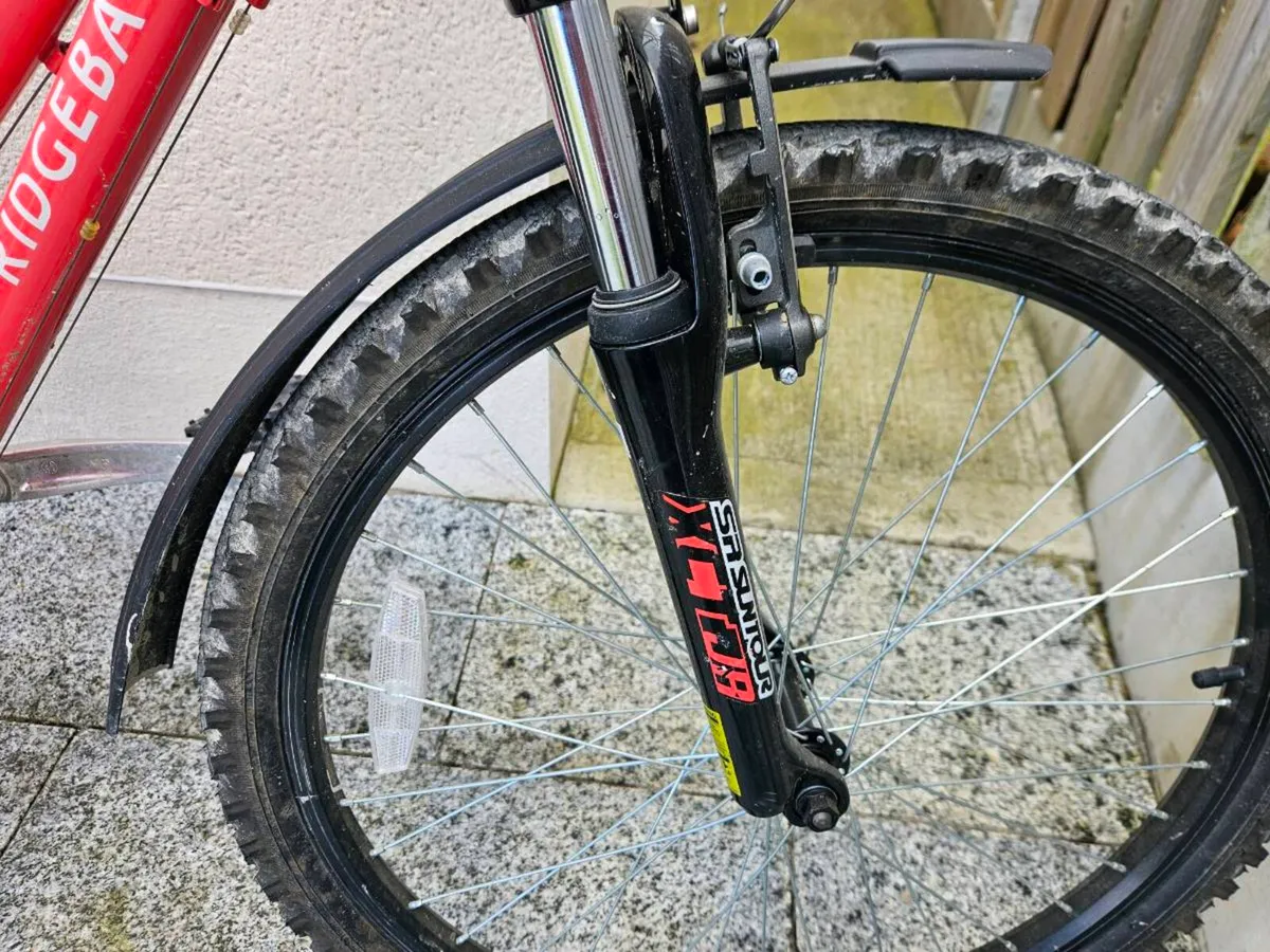 Ridgeback Destiny 24 inch bike - Image 4