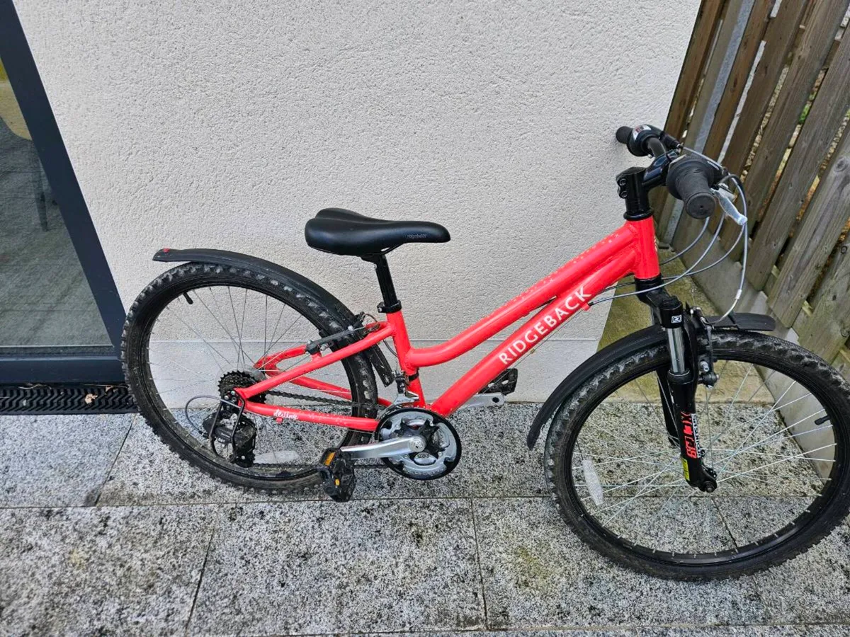 Ridgeback Destiny 24 inch bike - Image 1