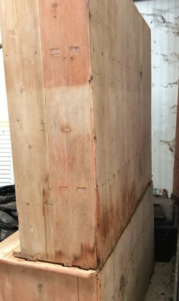 Cornish Dresser Cupboard - Image 3