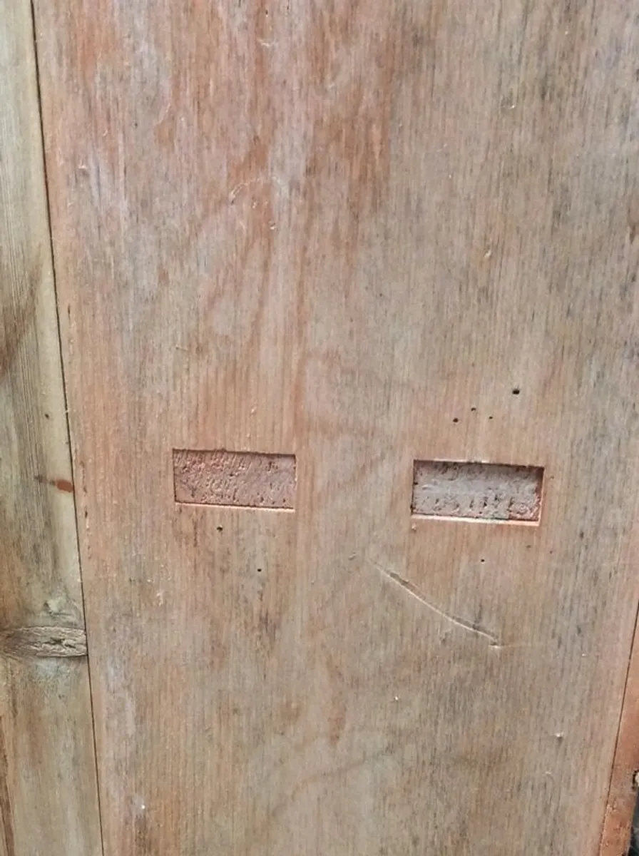 Cornish Dresser Cupboard - Image 4