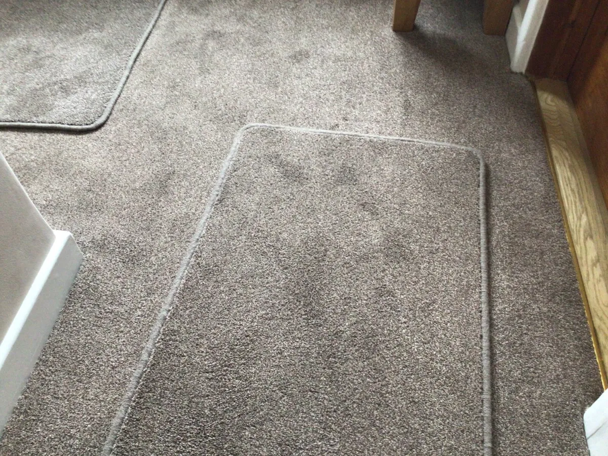 Carpet - Image 3