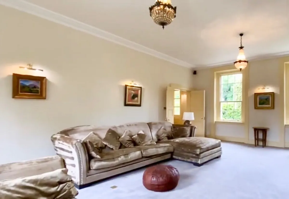 Large Sofa - Image 1