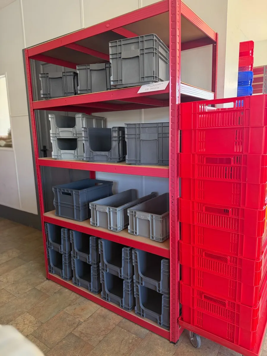New workshop shelving - Image 1