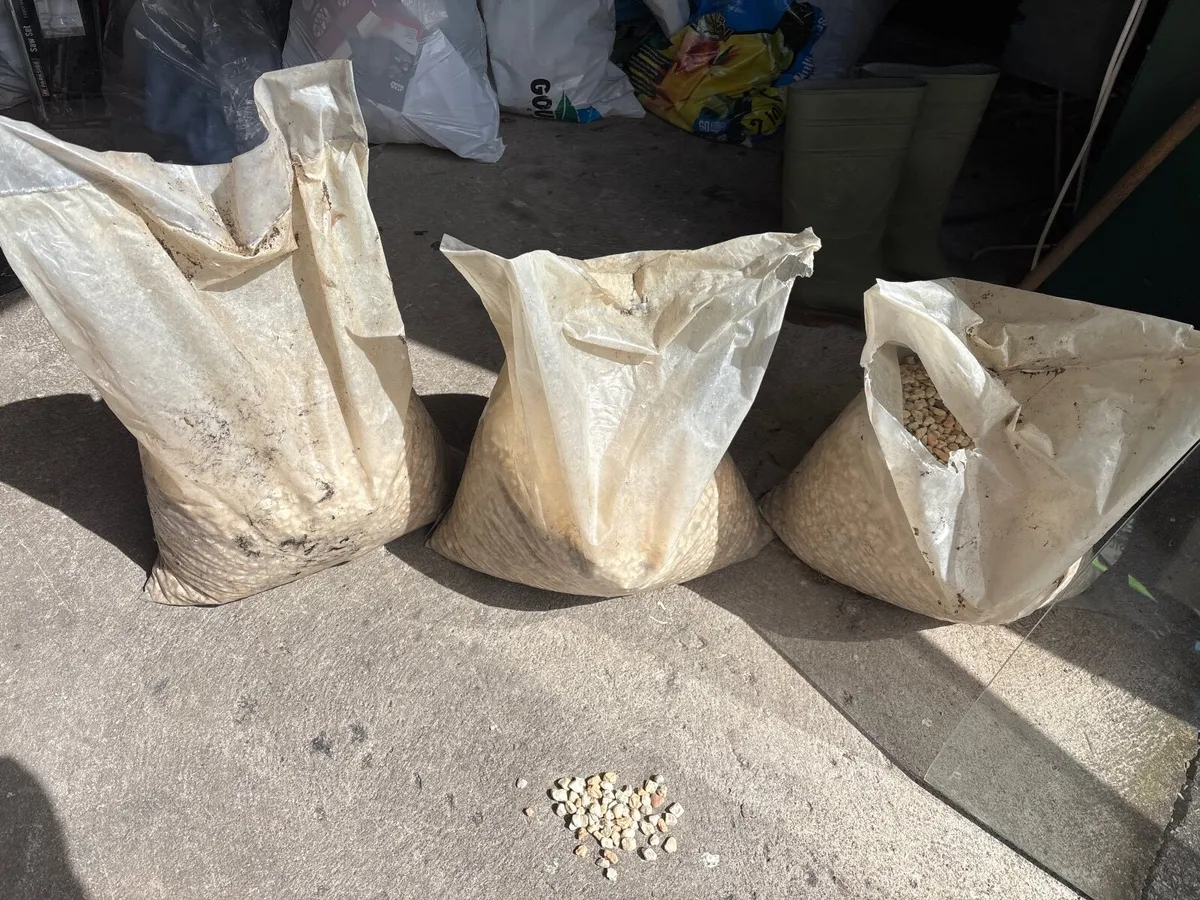 Pebble Dash for a wall - Image 1