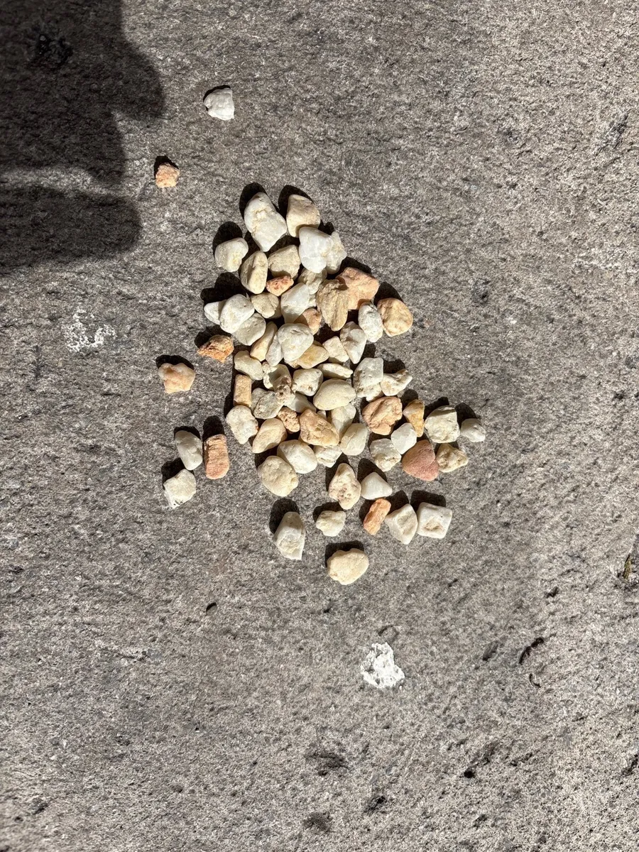 Pebble Dash for a wall - Image 2