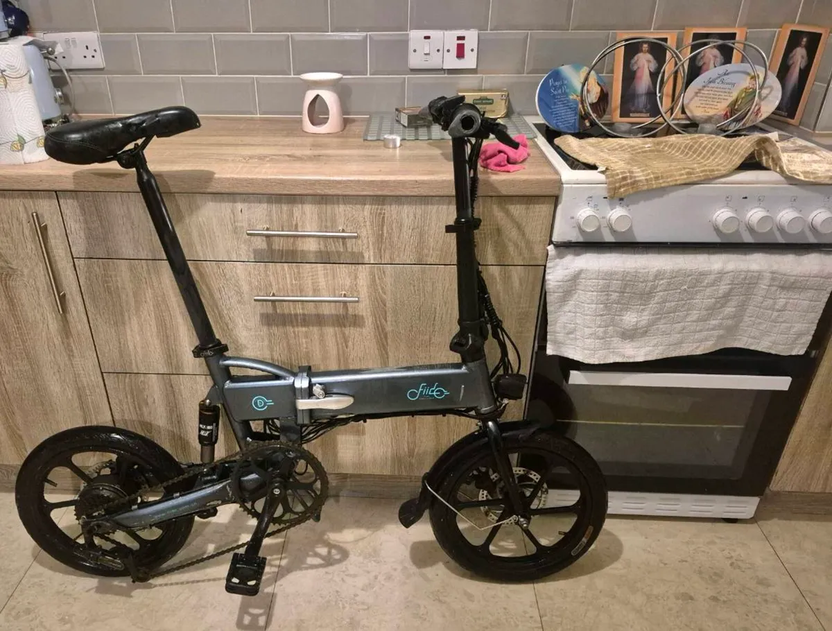 FIIDO D2S ELECTRIC BIKE MAXIMUM SPEED  25 KM/H (CA - Image 1