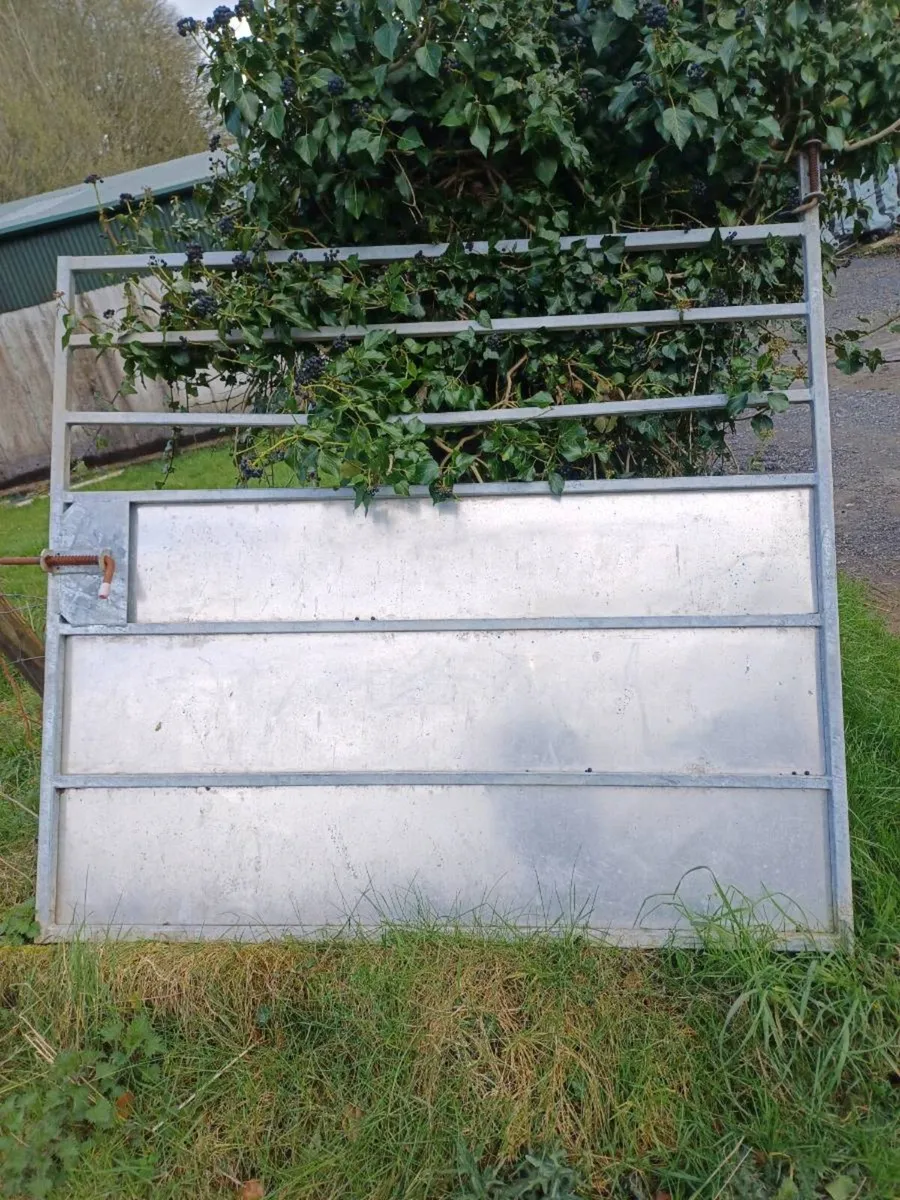 Nugent,  Hudson. Ifor Williams divider gates - Image 1
