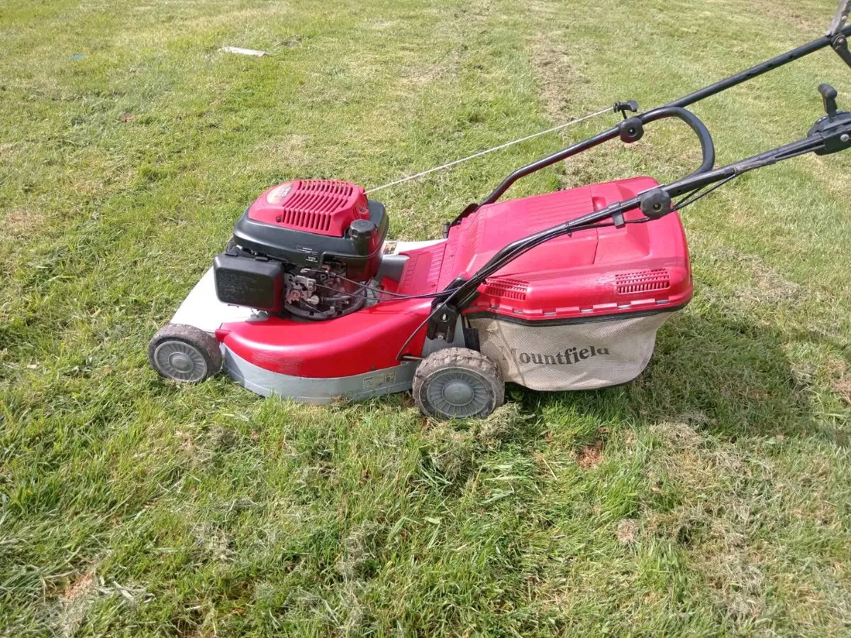 Lawnmowers - Image 1