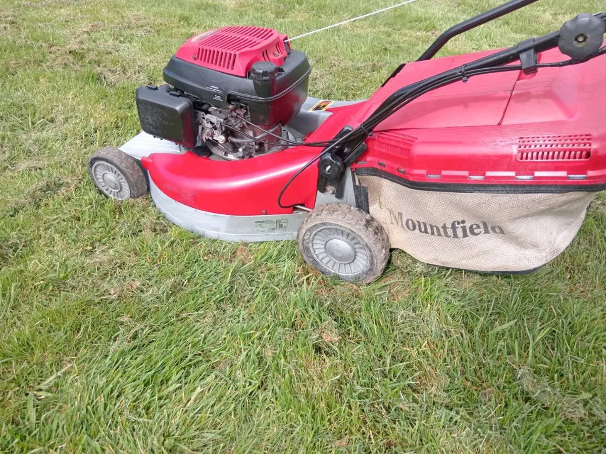 Lawnmowers - Image 4