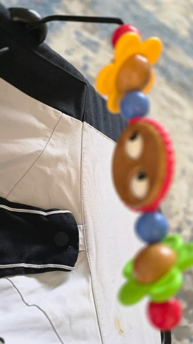 Babybjorn bouncer - Image 3