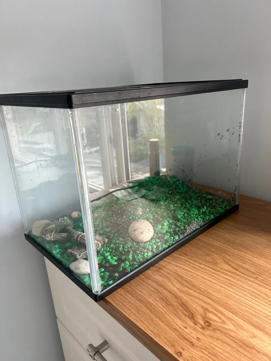 fishtank - Image 3