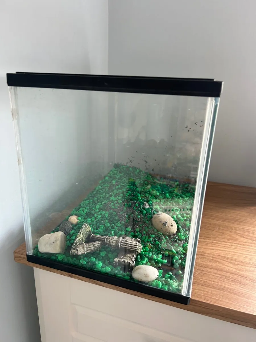 fishtank - Image 2