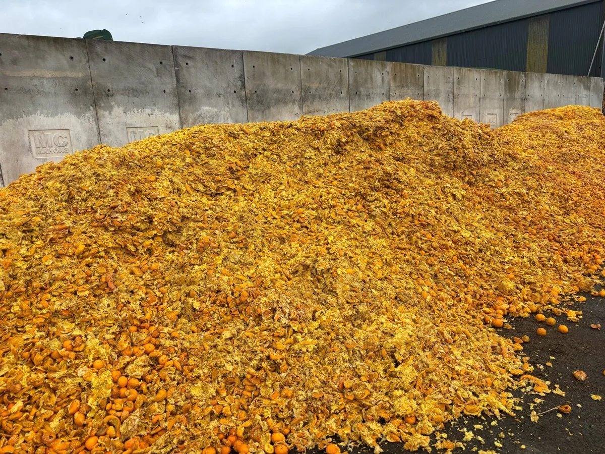 Super pressed Citrus pulp. - Image 1