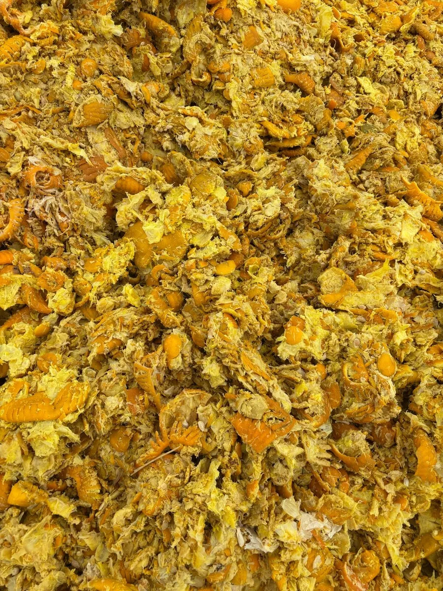 Super pressed Citrus pulp. - Image 2