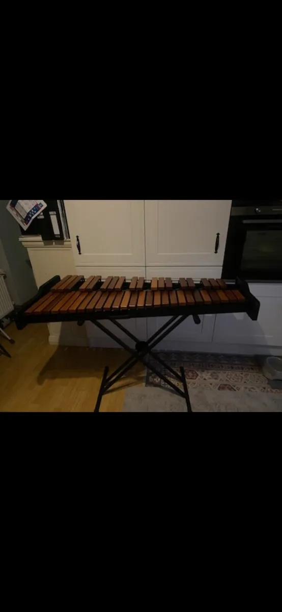 Music instrument - Image 2