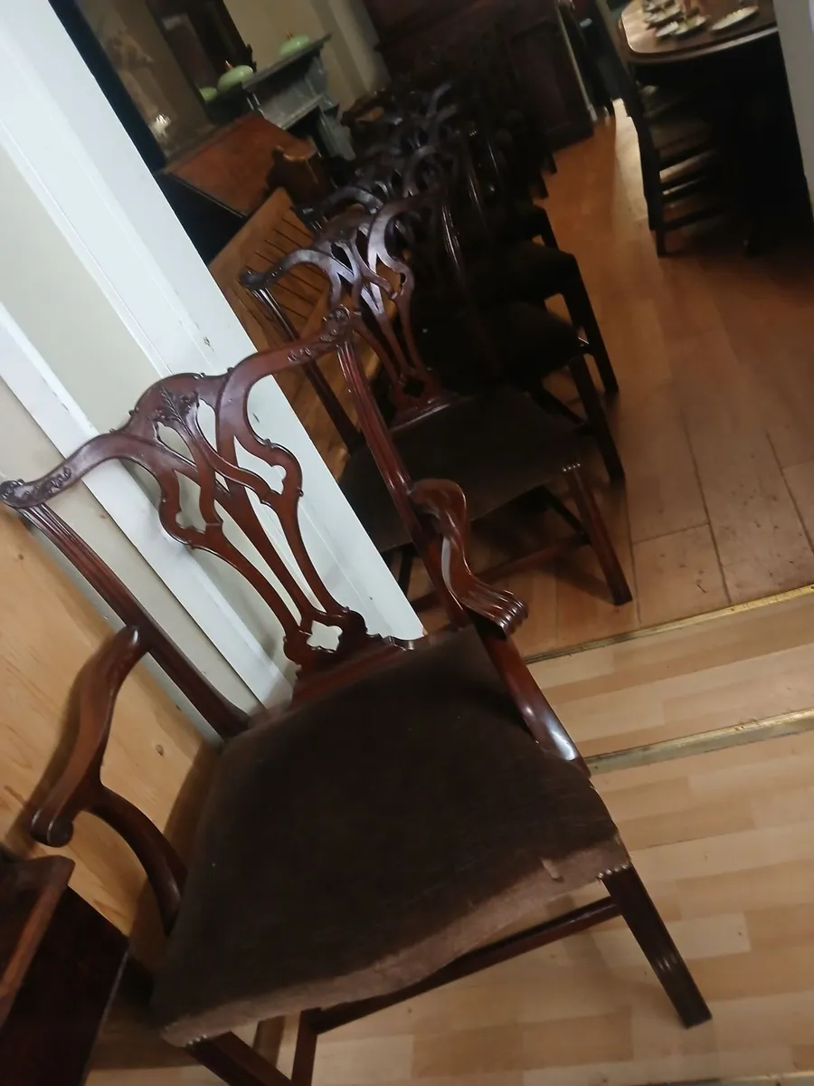 antique chairs 10 in all - Image 3