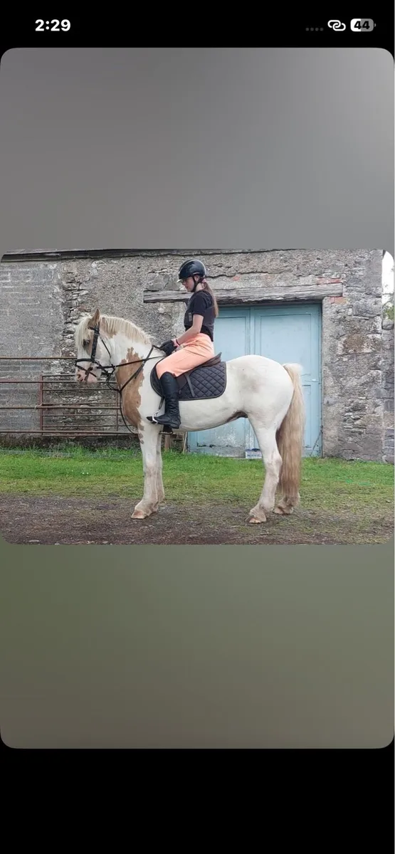 💫Rodger the cob 💫 - Image 1