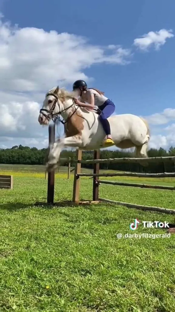 💫Rodger the cob 💫 - Image 2