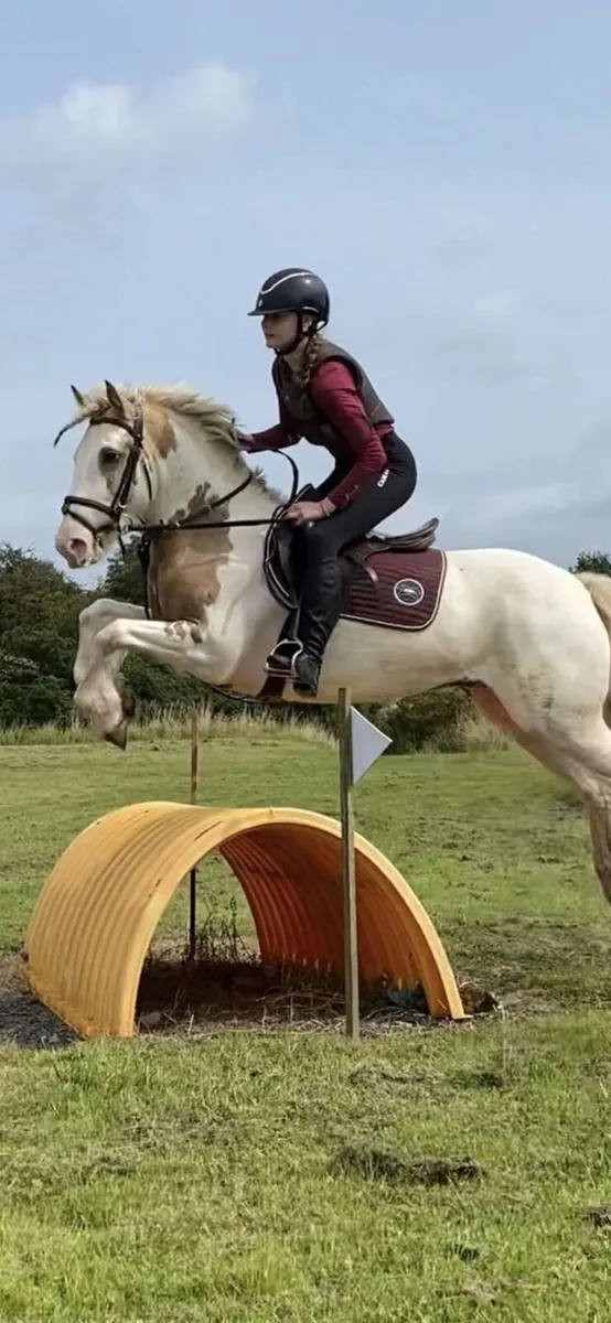 💫Rodger the cob 💫 - Image 3