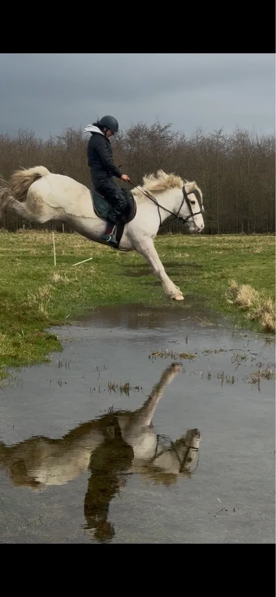 💫Rodger the cob 💫 - Image 4