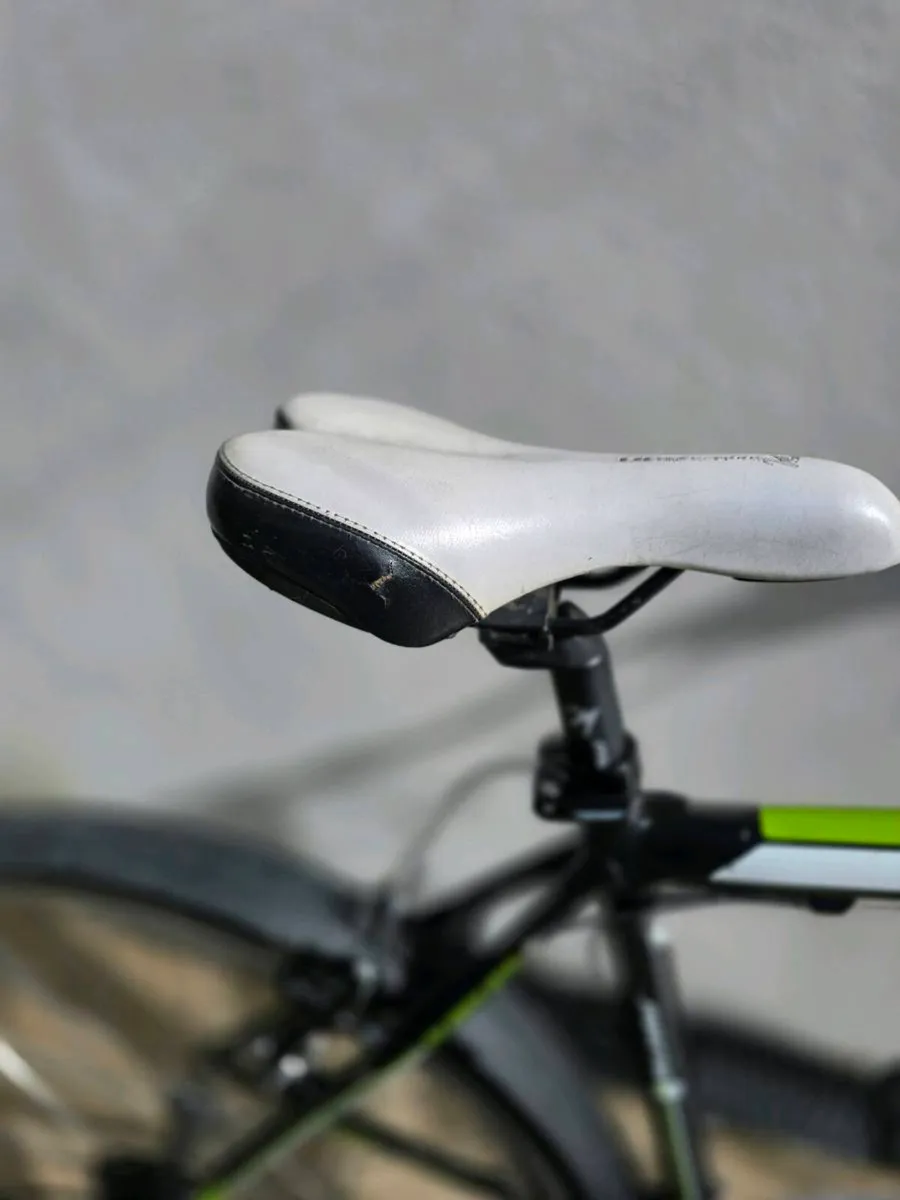 Adult bike - Image 2