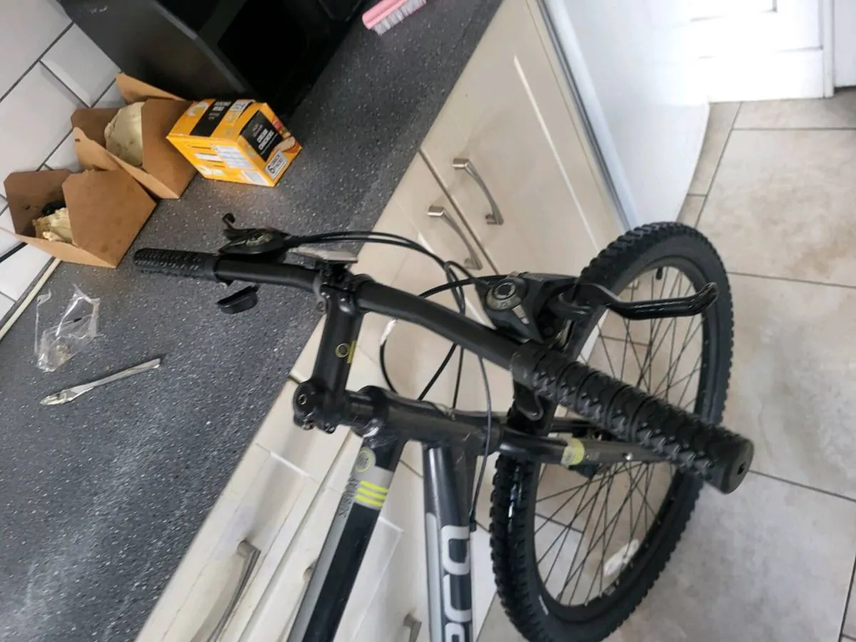 Xl carrera bike - Image 4