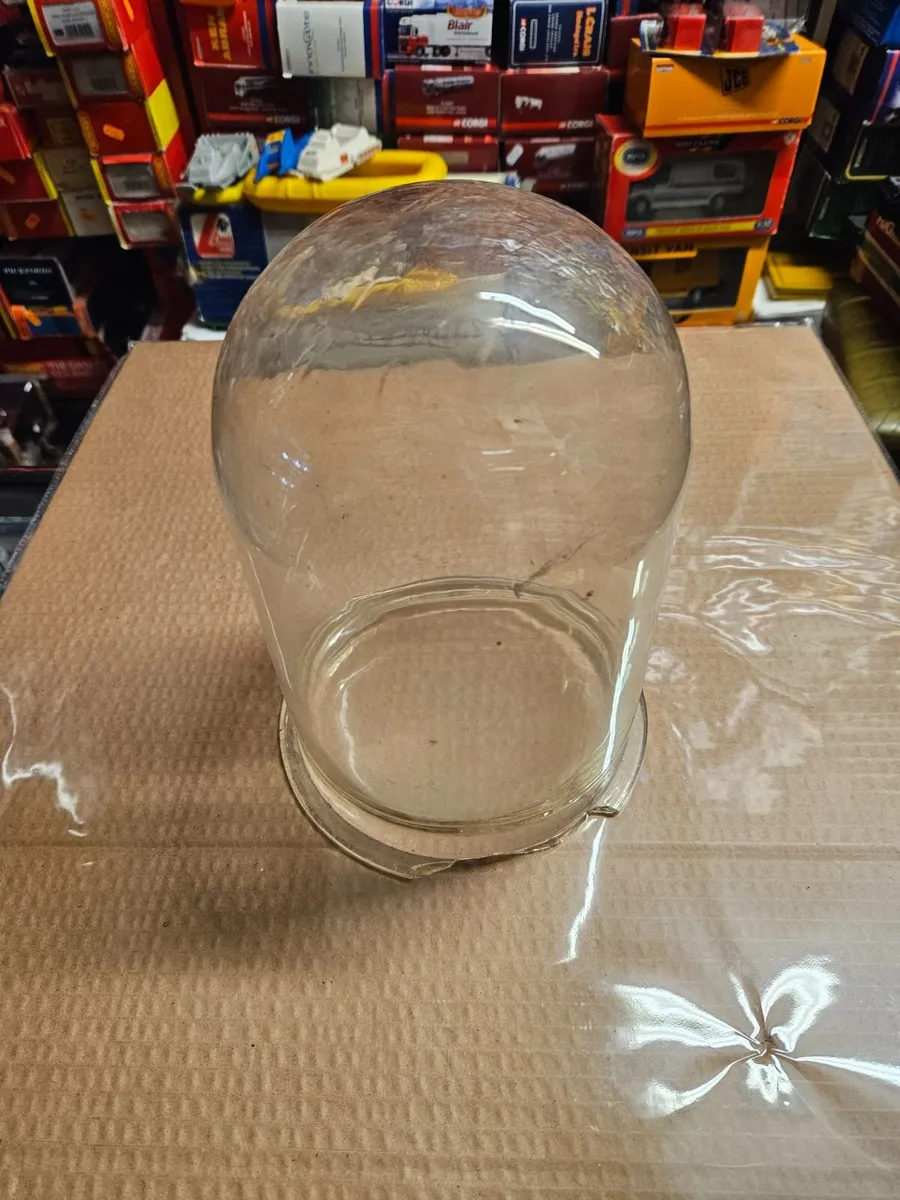 Vintage Antique Glass Dome - Image 1