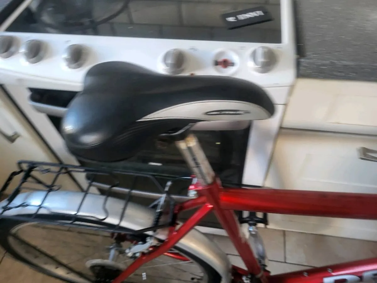 Mans Mountain bike - Image 4