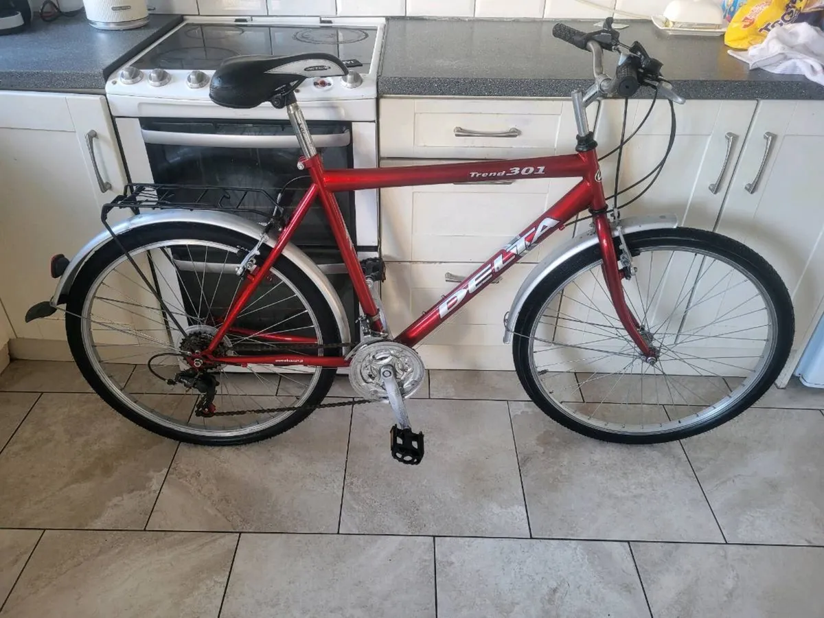 Mans Mountain bike - Image 1