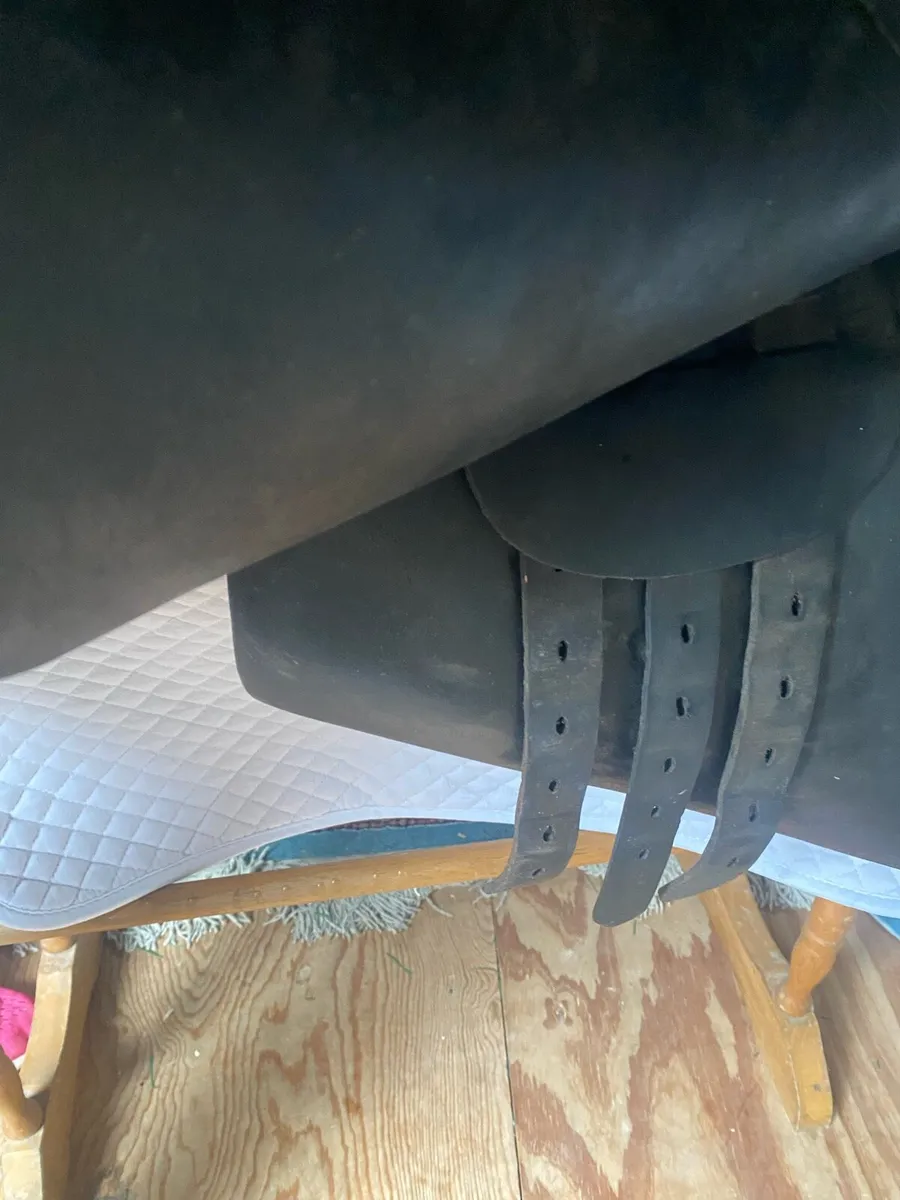 Saddle - Image 2