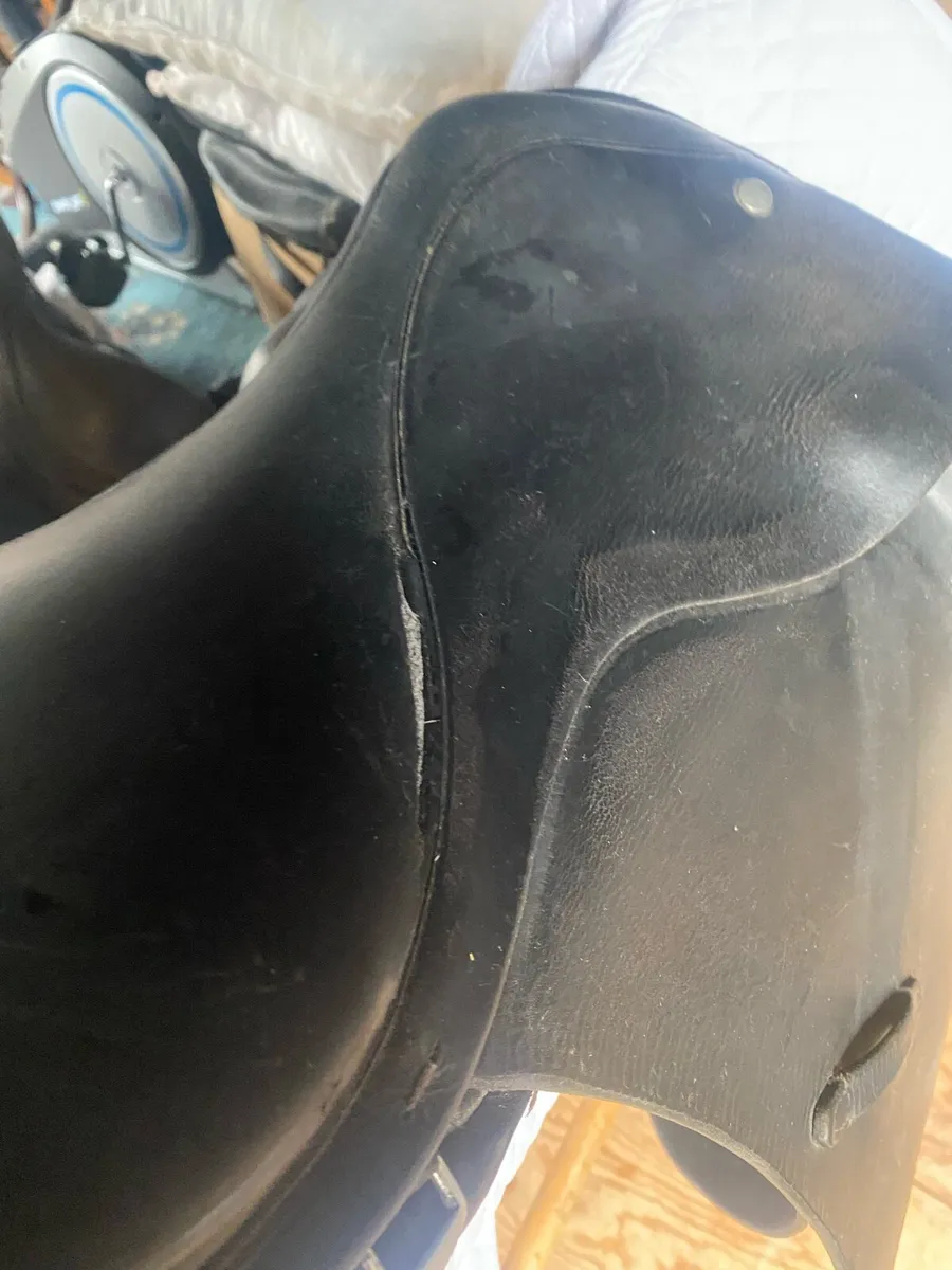 Saddle - Image 3